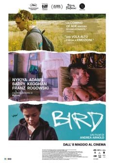 Locandina Bird